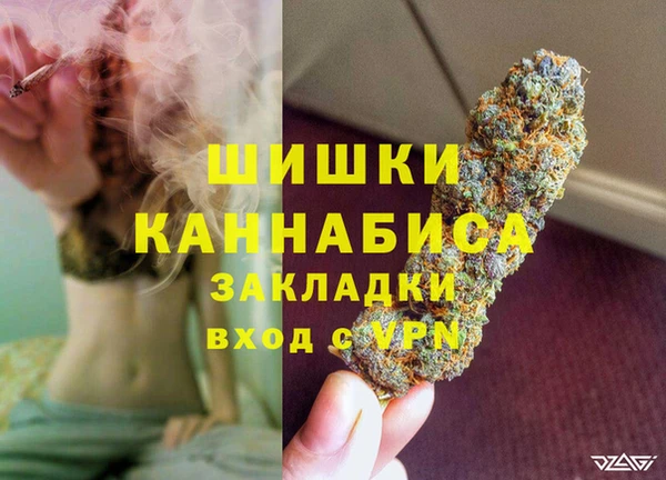 дживик Верея
