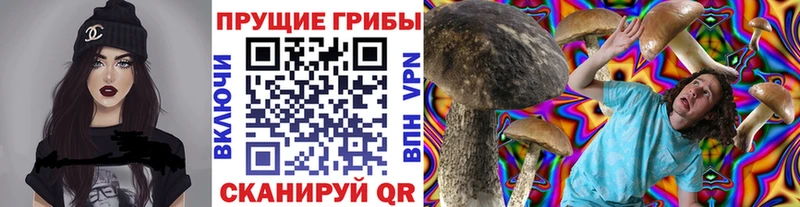 купить наркотик  Нерчинск  Галлюциногенные грибы мухоморы 