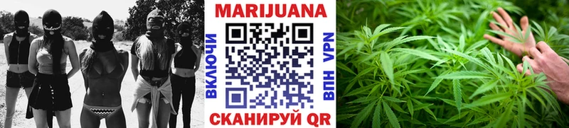 Каннабис MAZAR  купить наркотик  Нерчинск 